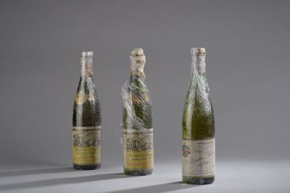 null Ensemble de 3 bouteilles : 1 bouteille RIESLING "Waldracher Krone", Weingut...