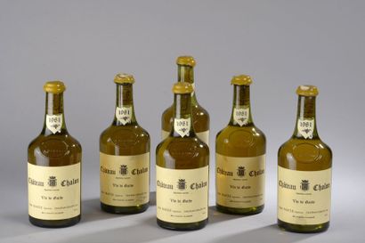 null 6 bouteilles VIN JAUNE "Château Chalon", Macle 1981 (1 LB) 