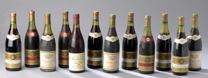 null 12 bouteilles BOURGOGNE (1976, 1979, 1978 de R. Brison, 1 Chante-Flûté de 1982)...
