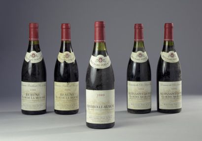 null Ensemble de 5 bouteilles : 1 bouteille CHAMBOLLE-MUSIGNY Bouchard P&F 1989 -...