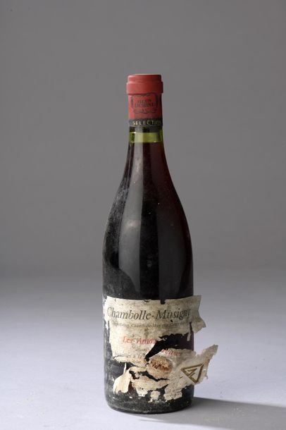 null 1 bouteille CHAMBOLLE-MUSIGNY "Les Amoureuses", Guy Jeunemaître (SM, ea, viticulteur...