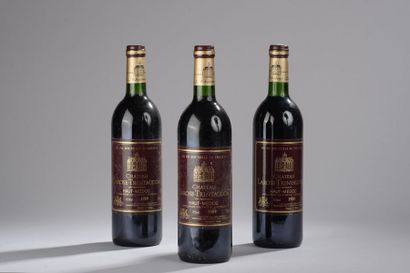 null 3 bouteilles CH. LAROSE-TRINTAUDON, Haut-Médoc 1989 (es) 