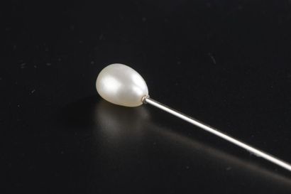 null Epingle de cravate en platine 850 millièmes, l'extrémité ornée d'une perle fine.
Haut....