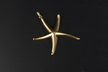 null Elsa PERETTI pour la Maison TIFFANY CO
Pendentif étoile de mer en or jaune 18k...