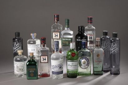 null *15 bouteilles GIN DIVERS 