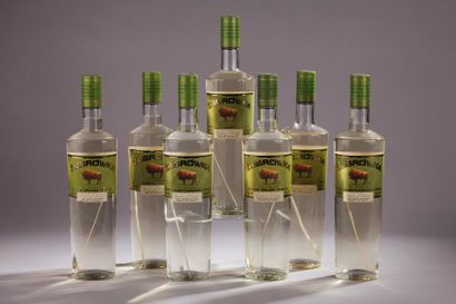 null *7 bouteilles VODKA Zubrowka (Pologne, vodka à l'herbe de bison) 