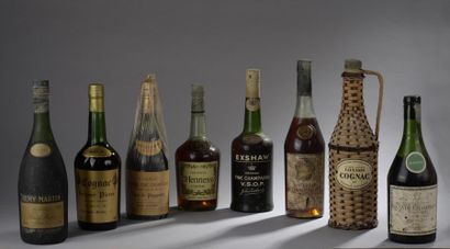 null 8 bouteilles COGNAC [Hennessy, Fauchon, Exshaw, Fillioux, Rémy Martin, J. Guerbé,...
