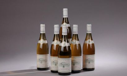 null 6 bouteilles SANCERRE R. Naudet [2 de 2003 4 de 2004] 