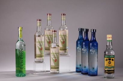null *14 bouteilles divers (dont Koch el, Disaronno, Cinzano…)