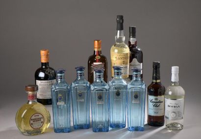 null *26 bouteilles divers (dont Monkey Shoulder, Ricard, Star of Bombay, Alegria,...