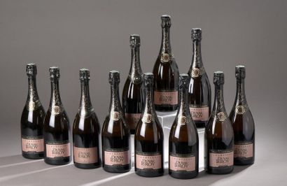 null *11 bouteilles CHAMPAGNE rosé, Duval-Leroy 