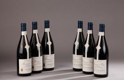 null 6 bouteilles MERCUREY "Clos Voyens 1er cru", Bouchard Aîné 2005 (es) 