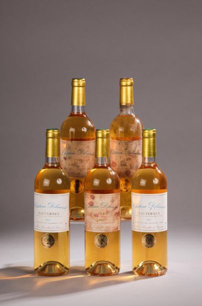 null 5 bouteilles Château DELMOND, Sauternes 2013 (3 ea) 