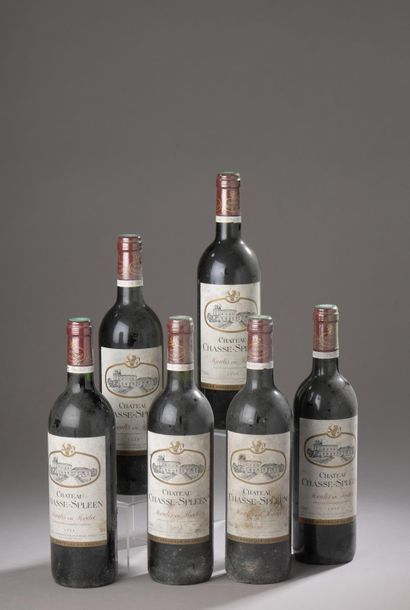 null 6 bouteilles Château CHASSE-SPLEEN, Moulis 1998 (els) 