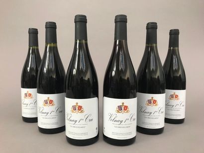 null 6 bouteilles VOLNAY "Les Brouillards", Roblet-Monnot VSR 