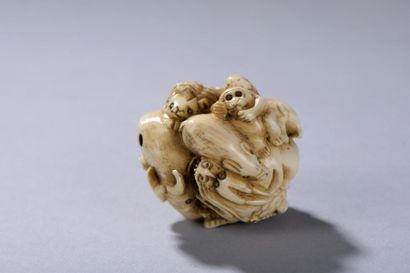 null JAPON, fin de l'époque ÉDO (1603-1868). 
Netsuke représentant les animaux du...