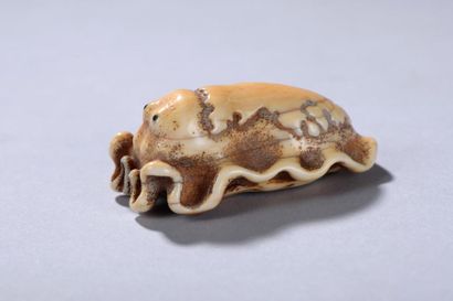 null JAPON, début du XXe siècle.
Netsuke représentant une seiche.
Ivoire (elephantidae...