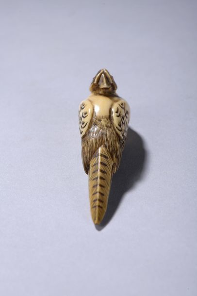 null JAPON, fin de l'époque MEIJI ( 1868-1912). 
Netsuke représentant une poule faisane....