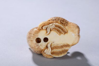 null JAPON, début du XXe siècle. 
Netsuke signé représentant un oiseau à bec à spatule,...