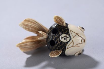 null JAPON, fin de l'époque MEIJI (1868-1912).
Netsuke signé représentant un poisson...