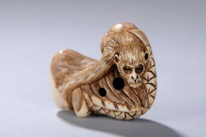 null JAPON, milieu du XXe siècle. 
Netsuke signé représentant Toyotama Hime fille...