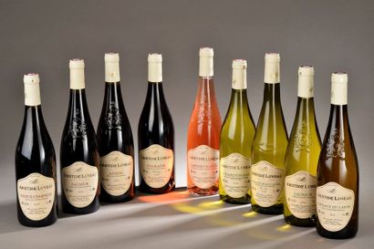 null 9 bouteilles VINS DE LOIRE Aristide Luneau (rouges de Saumur, Saumur Champigny,...