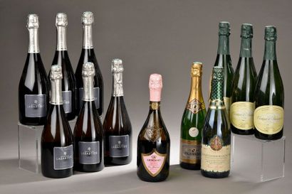 null 12 bouteilles VINS EFFERVESCENTS (Crémant de Bourgogne, Spumante rosé, Gaillac)...