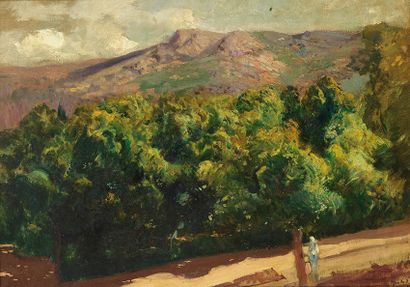 JOAQUÍN SOROLLA BASTIDA (Valence, 1863 - Cercedilla, Madrid, 1923) 