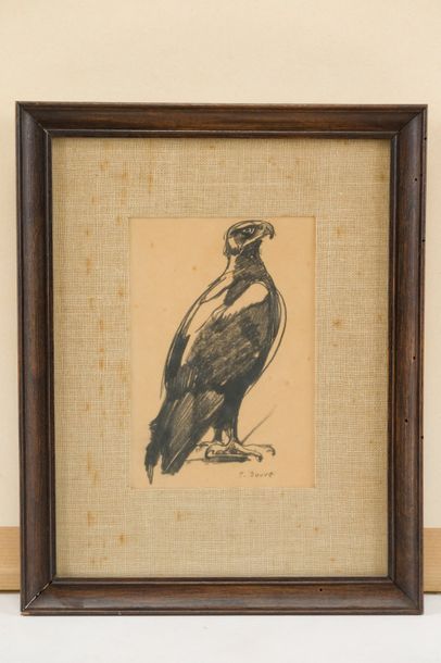 Paul JOUVE (Marlotte 1878- Paris 1973) Un aigle
Lavis noir
15 x 10 cm
Signé en bas...