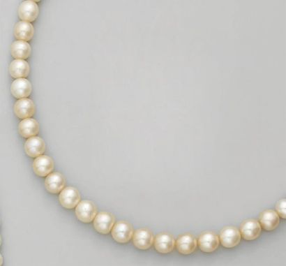 null Collier de 61 perles fines en légère chute, le fermoir oblong en platine et...