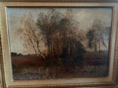 null Louis aimé JAPY (1840-1916)
Paysage lacustre
Huile sur toile
Signée en bas à...
