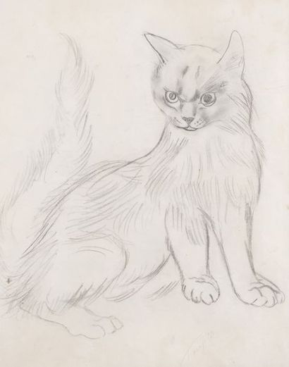 Tsuguharu FOUJITA (1886-1968) Cat, 1929
Pencil lead on paper.
Bears an apocryphal...