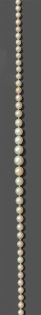 
NECKLACE composed of a row of cultured pearls....