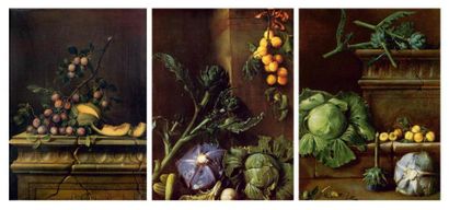 Pierre DUPUIS (Montfort-l'Amaury 1610 - Paris 1682) Nature morte aux perdrix, martins...