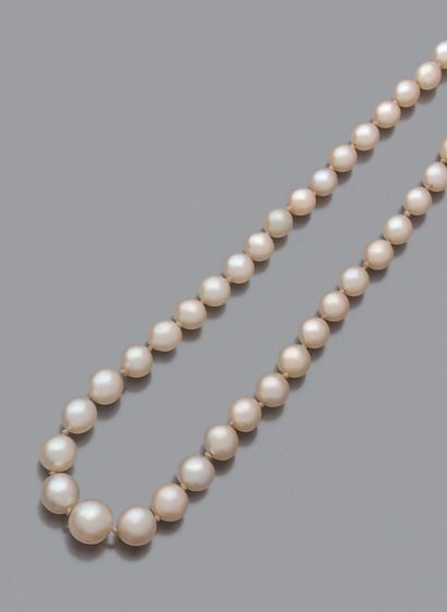 null NECKLACE composed of a strand of creamy white cultured pearls, in drop. Rectangular...