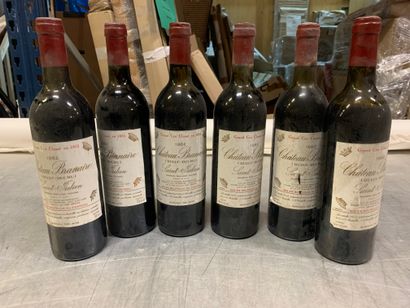 6 bouteilles Château BRANAIRE-DUCRU, 4° cru...