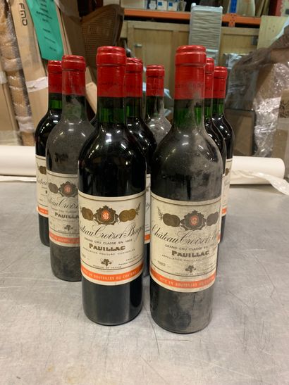 null 9 bouteilles Château CROIZET-BAGES, 5° cru Pauillac 1982 (elt)
