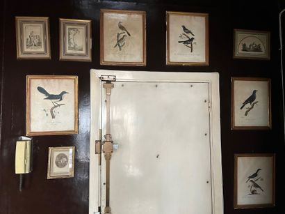 Lot de 9 gravures dont oiseaux (30 x 24 cm)...