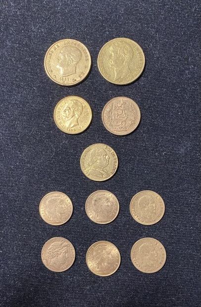 null Lot de 11 pièces en or diverses comprenant : 

- FRANCE. 2 pièces de 10 francs...