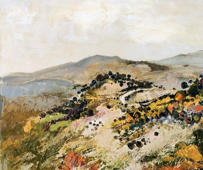 Michel JOUENNE (né en 1933) Paysage dans les collines d'Eygalières Huile sur toile...