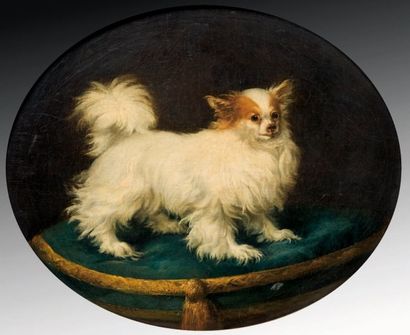 DELAMARE (actif en France au XVIIIe siècle) Portrait d'un petit chien Toile ovale....