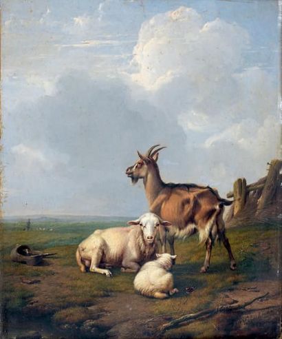 Eugène Joseph VERBOECKHOVEN (Warneton 1798 - Schaarbeek 1881) Chèvre et moutons dans...