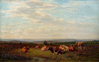 William LUKER (XIXe-XXe siècle) Troupeau de vaches Huile sur carton, signée en bas...