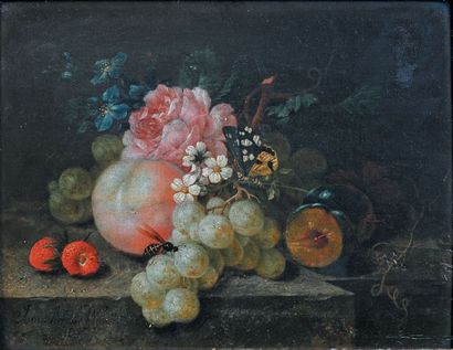 Johann Amandus WINK (Eichstätt 1748 - Münich 1817) Rose, raisins et framboises sur...