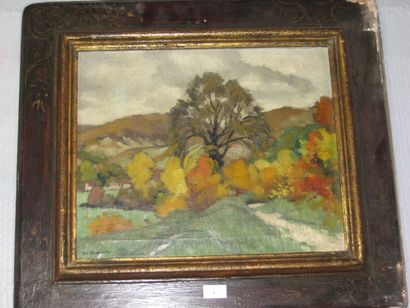 P-L. MIGAUD (?) (XXème Siècle) "Paysage d'automne", huile sur toile signée en bas...