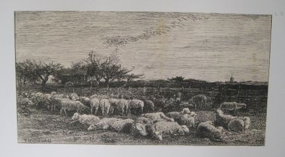 Le grand parc à moutons. 1862. Cliché verre....