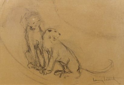Louis ICART (1888-1950) Les deux lionnes Fusain. Signé en bas à droite. 31,5 x 47...