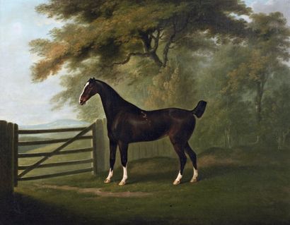 John Nost SARTORIUS (Londres 1759-vers 1828) Cheval de chasse à la porte du pré Signée...