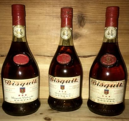 null Deux bouteilles Fine Cognac «St. Martial»
Bisquit Dubouché. Bouteilles des années...