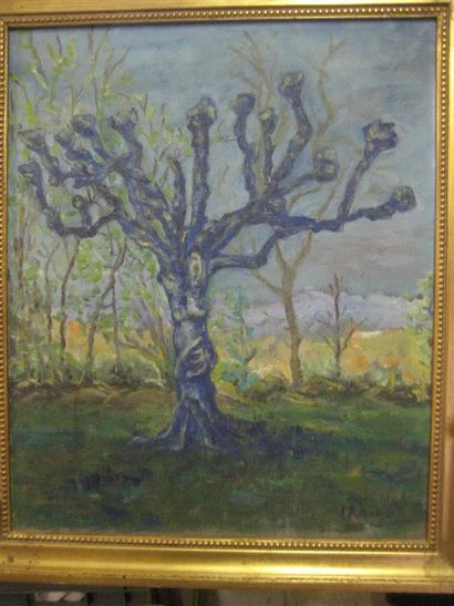 null J.RAINE (XXème siècle)
L'arbre, 1977
Huile sur toile
Signée en bas à droite
Signée...